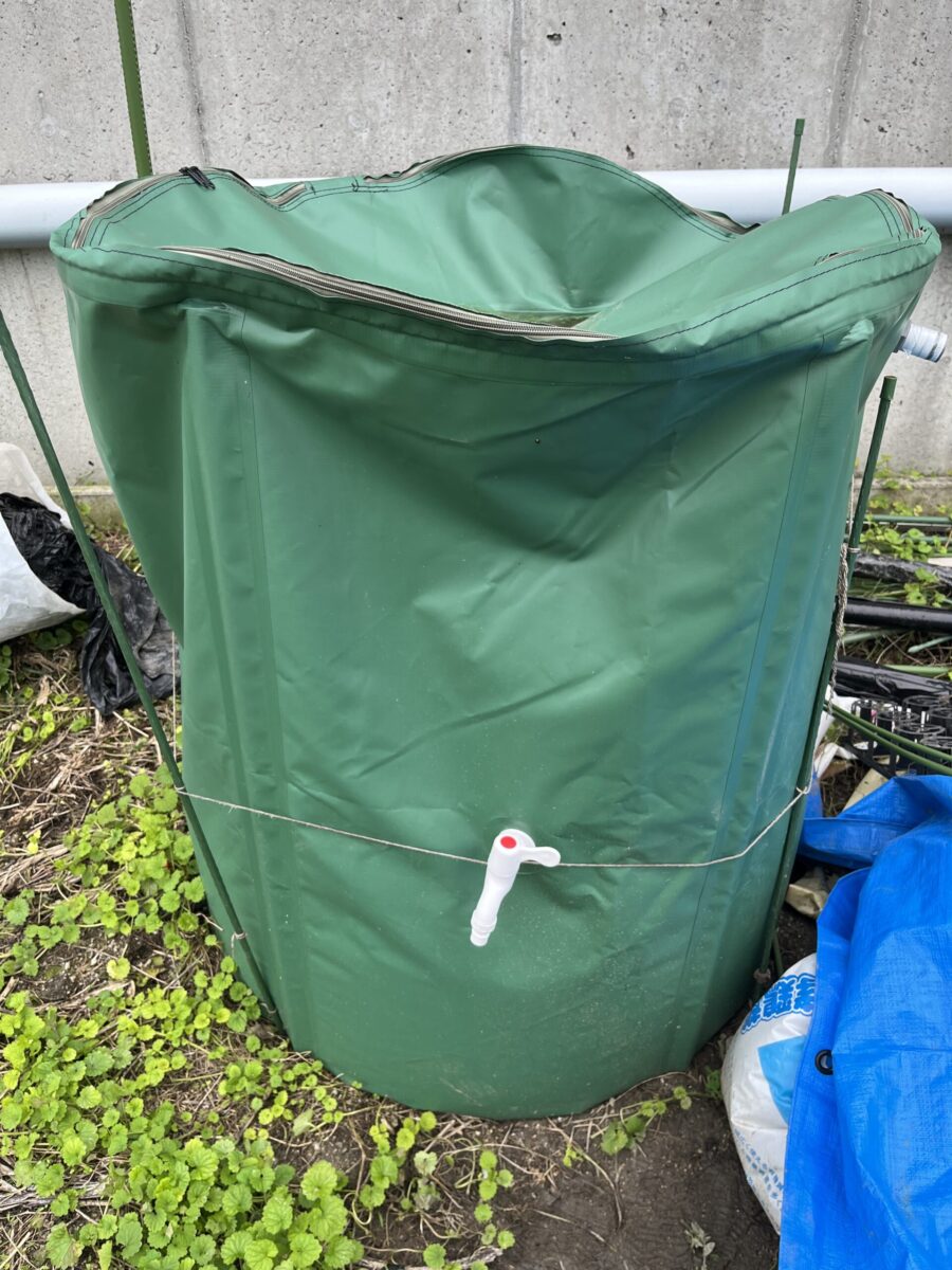 水源のない畑で家庭菜園｜雨水タンクと乾燥対策で水やりを減らす工夫 